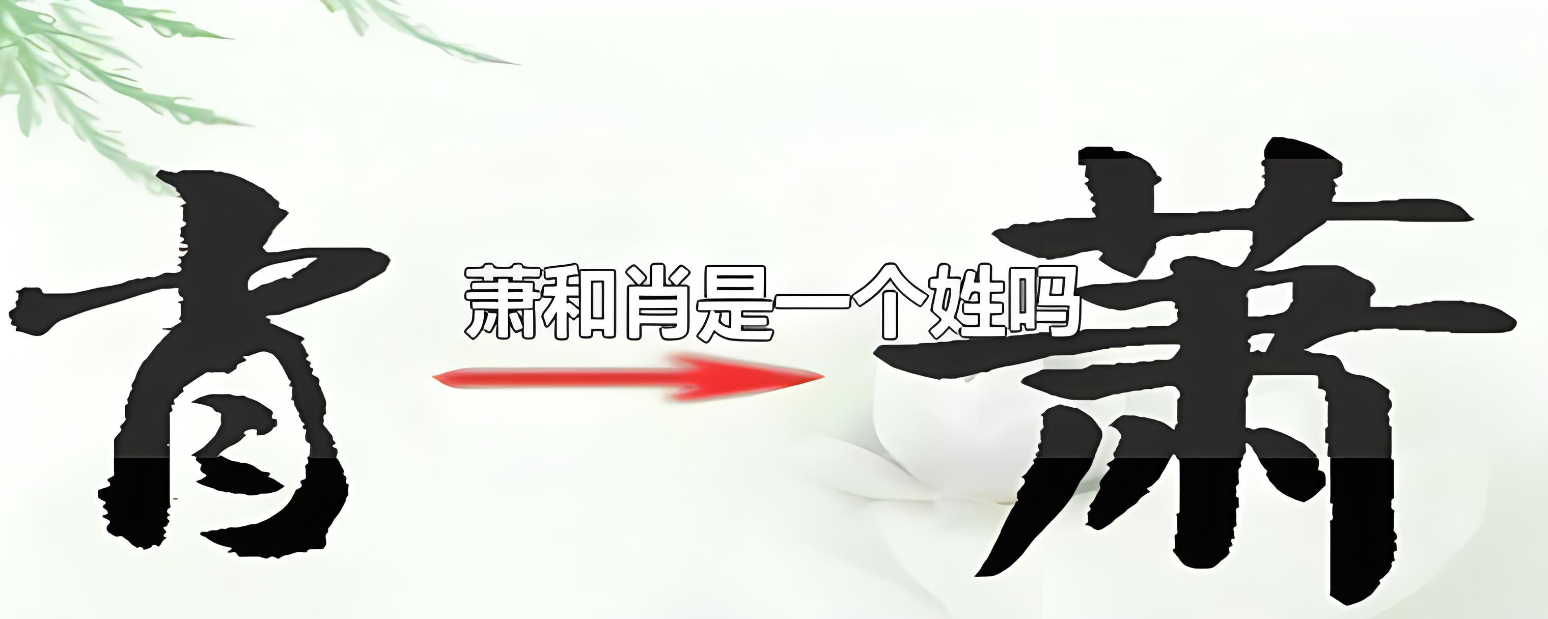 “萧肖混用”问题与“纠肖复萧”