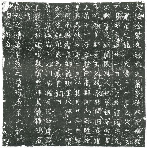 隋蕭濱誌－大隋金紫光祿大夫蕭岑孫內宮堂姪故蕭濱之銘